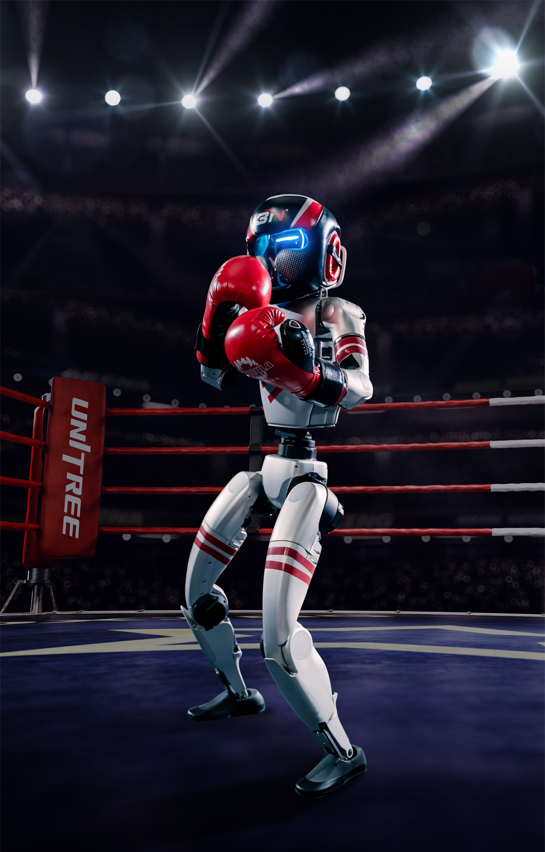 robot boxing