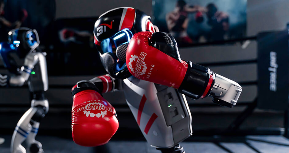 robot boxing